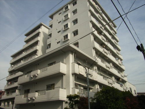 12550画像