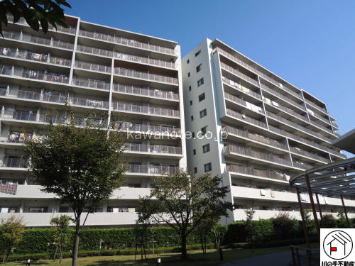 1456画像