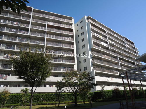 1516画像