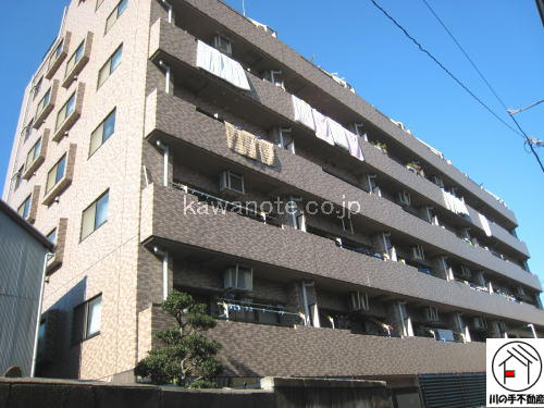 4791画像