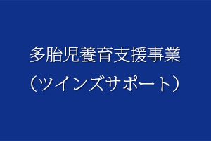 多胎児養育支援事業（ツインズサポート）