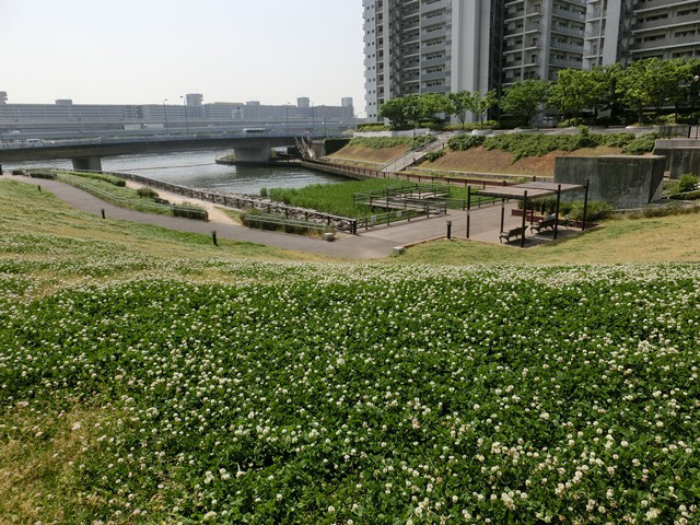 瑞光橋公園